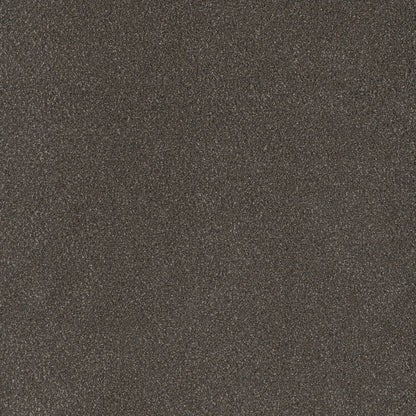 DreamWeaver® Palmetto III Textured Carpet