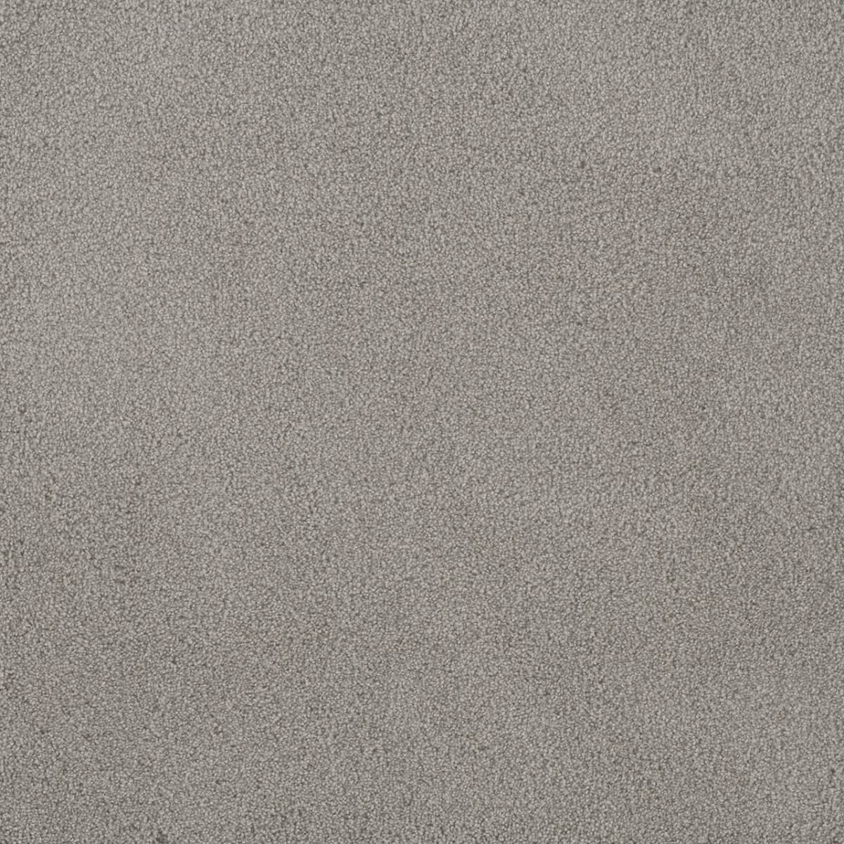 DreamWeaver® Palmetto III Textured Carpet