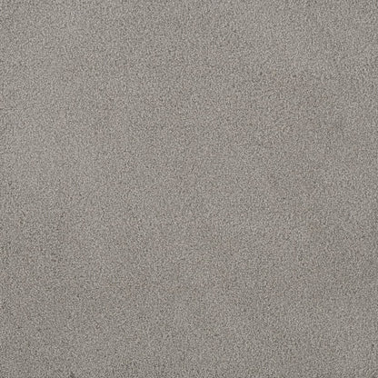 DreamWeaver® Palmetto III Textured Carpet