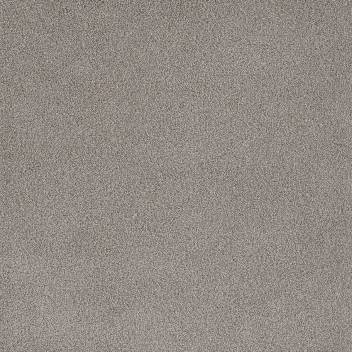 DreamWeaver® Palmetto III Textured Carpet