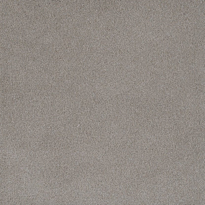 DreamWeaver® Palmetto III Textured Carpet