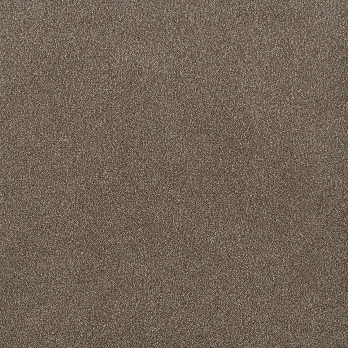 DreamWeaver® Palmetto III Textured Carpet