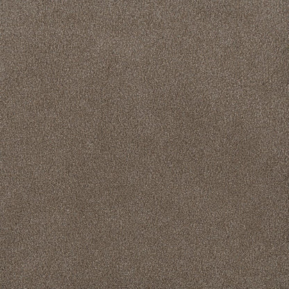DreamWeaver® Palmetto III Textured Carpet