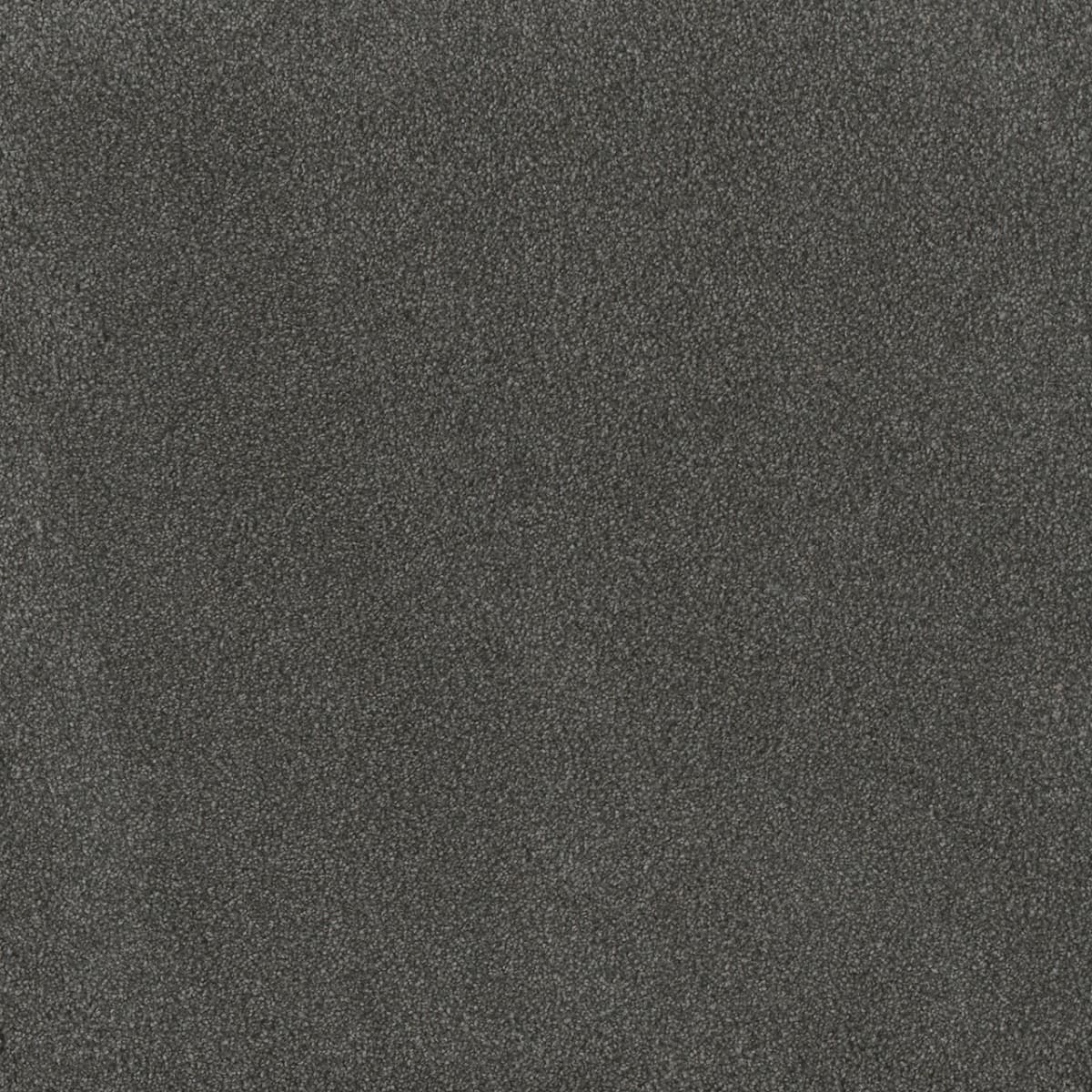 DreamWeaver® Palmetto III Textured Carpet