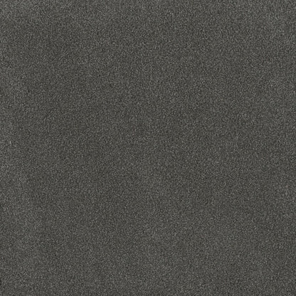 DreamWeaver® Palmetto III Textured Carpet