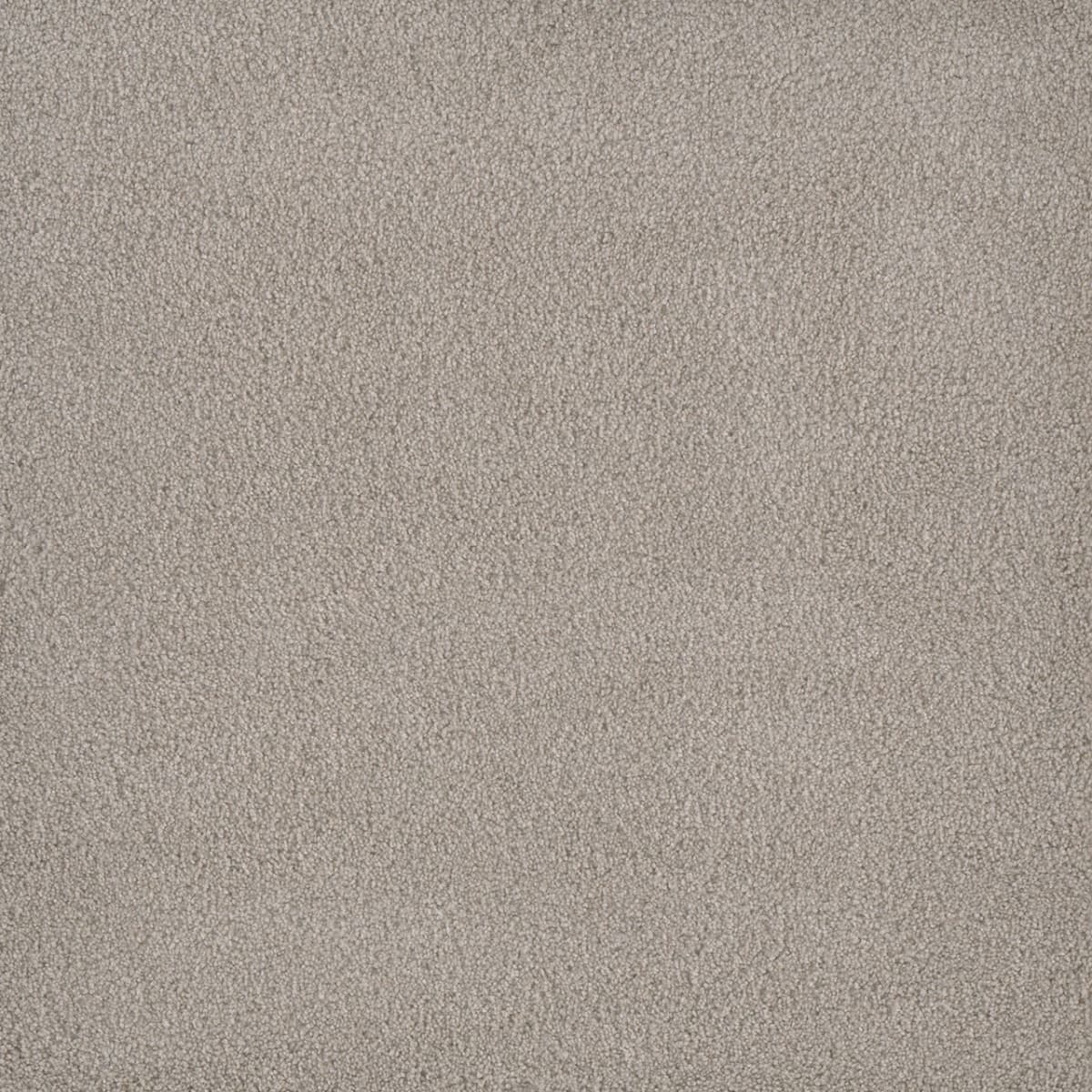 DreamWeaver® Palmetto III Textured Carpet
