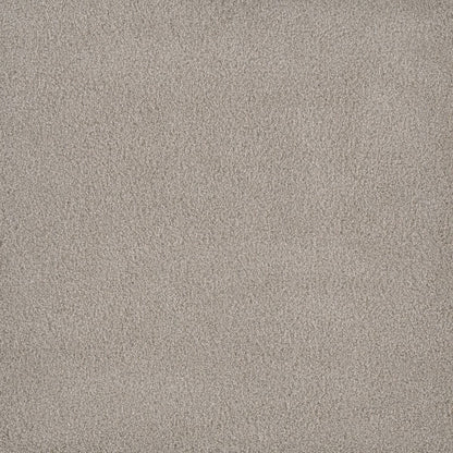 DreamWeaver® Palmetto III Textured Carpet