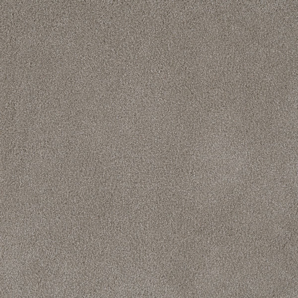 DreamWeaver® Palmetto III Textured Carpet