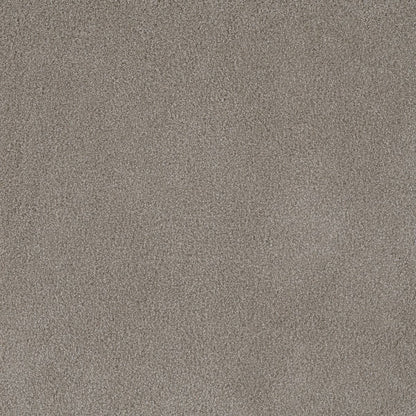 DreamWeaver® Palmetto III Textured Carpet