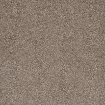 DreamWeaver® Palmetto III Textured Carpet