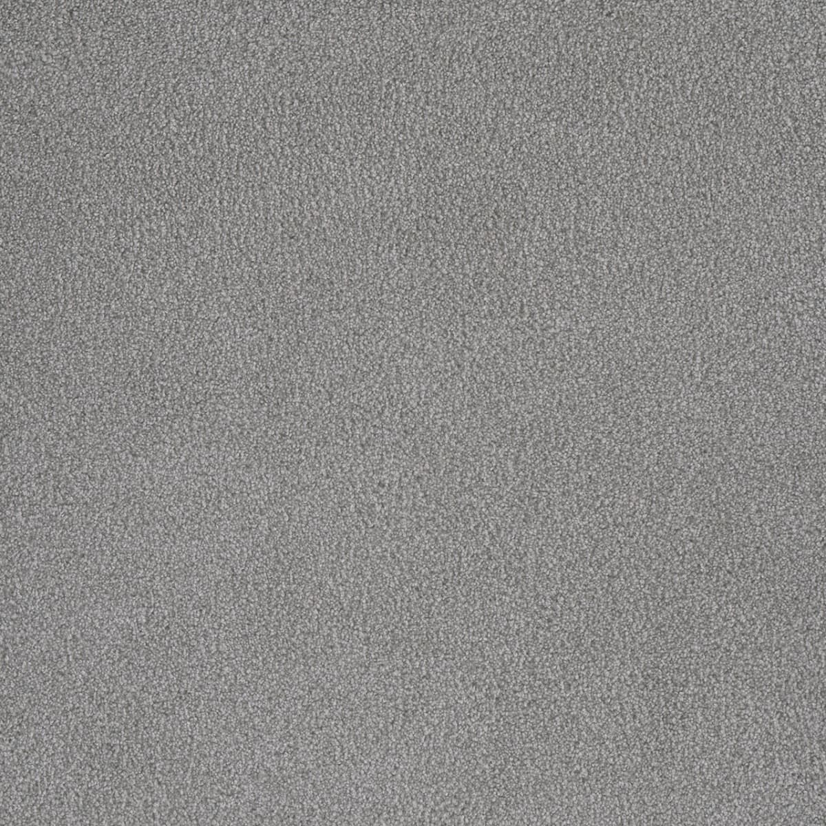 DreamWeaver® Palmetto III Textured Carpet