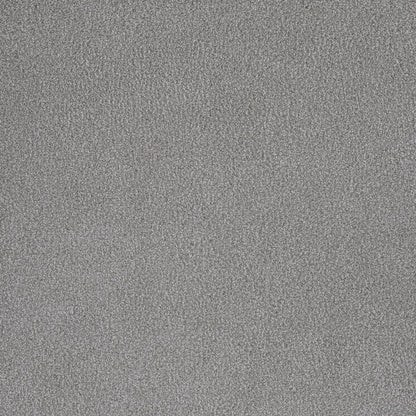 DreamWeaver® Palmetto III Textured Carpet