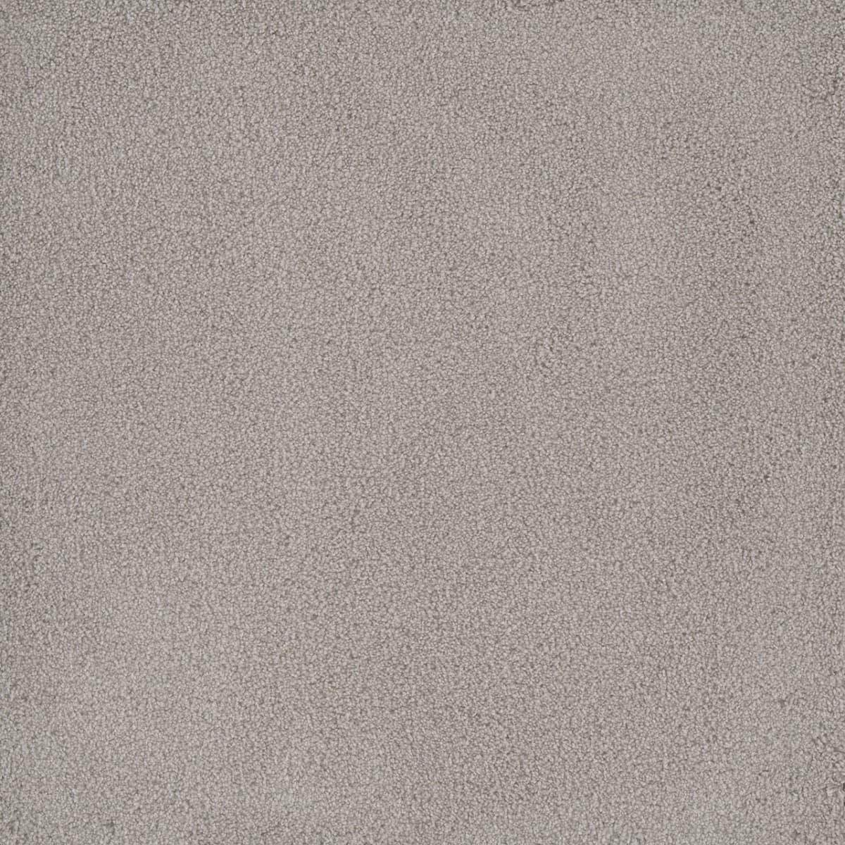 DreamWeaver® Palmetto III Textured Carpet