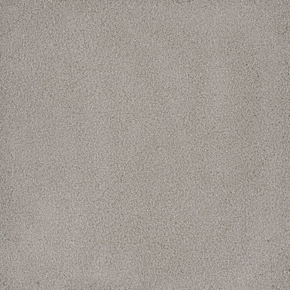 DreamWeaver® Palmetto III Textured Carpet