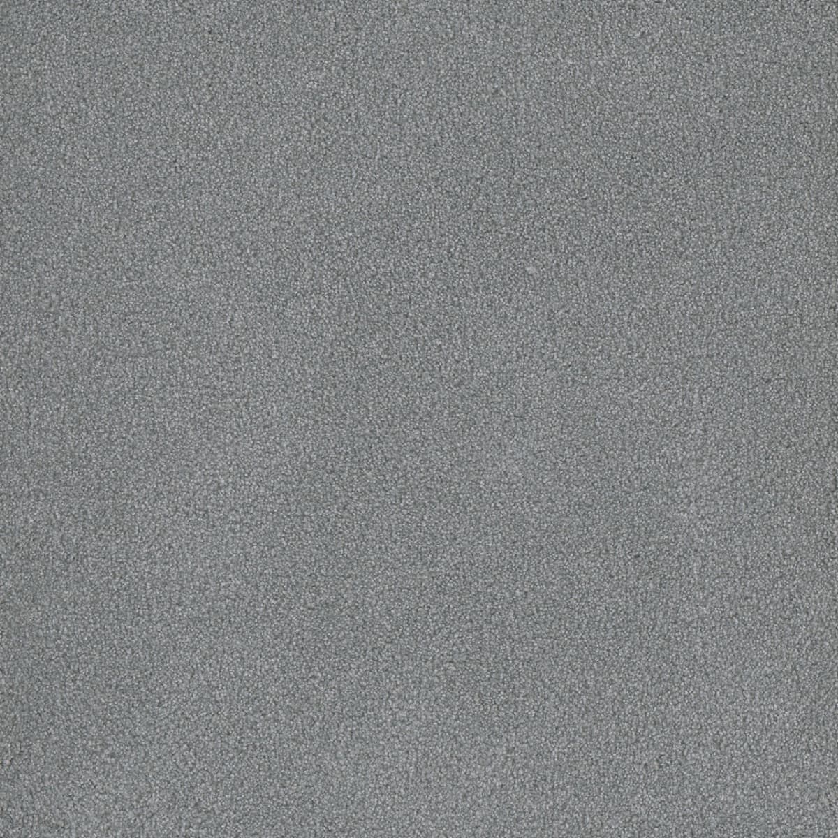 DreamWeaver® Palmetto III Textured Carpet