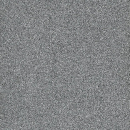 DreamWeaver® Palmetto III Textured Carpet
