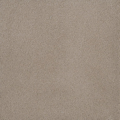 DreamWeaver® Palmetto III Textured Carpet