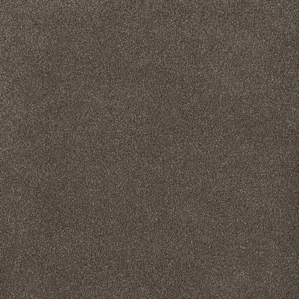 DreamWeaver® Palmetto III Textured Carpet