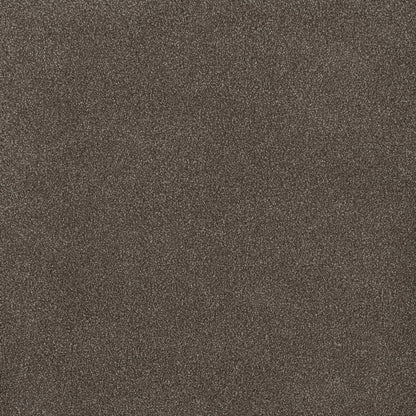 DreamWeaver® Palmetto III Textured Carpet