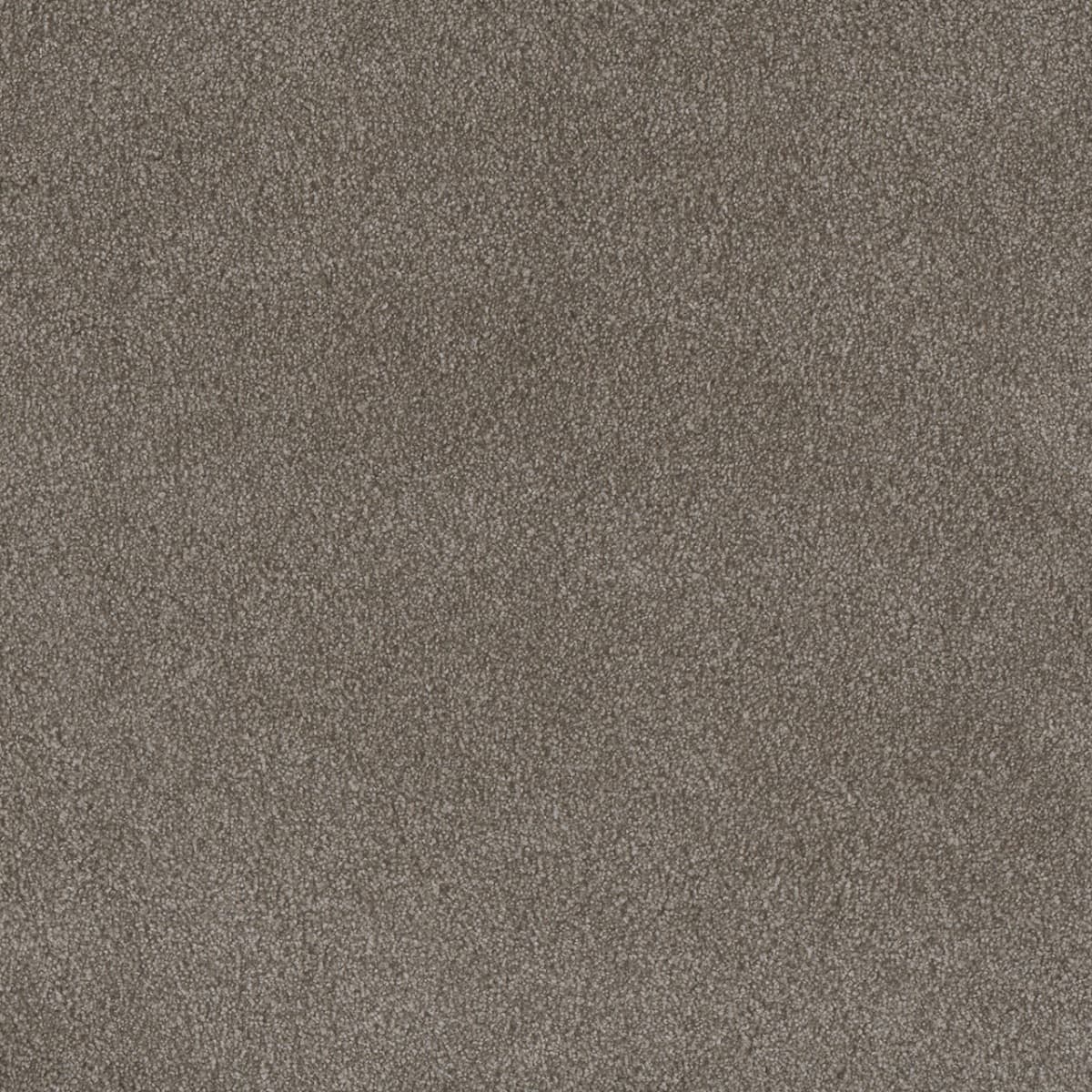 DreamWeaver® Palmetto III Textured Carpet