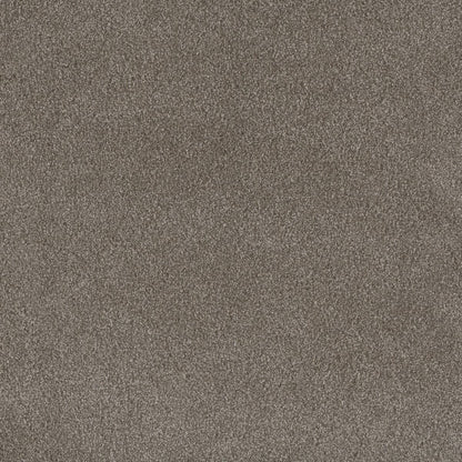 DreamWeaver® Palmetto III Textured Carpet