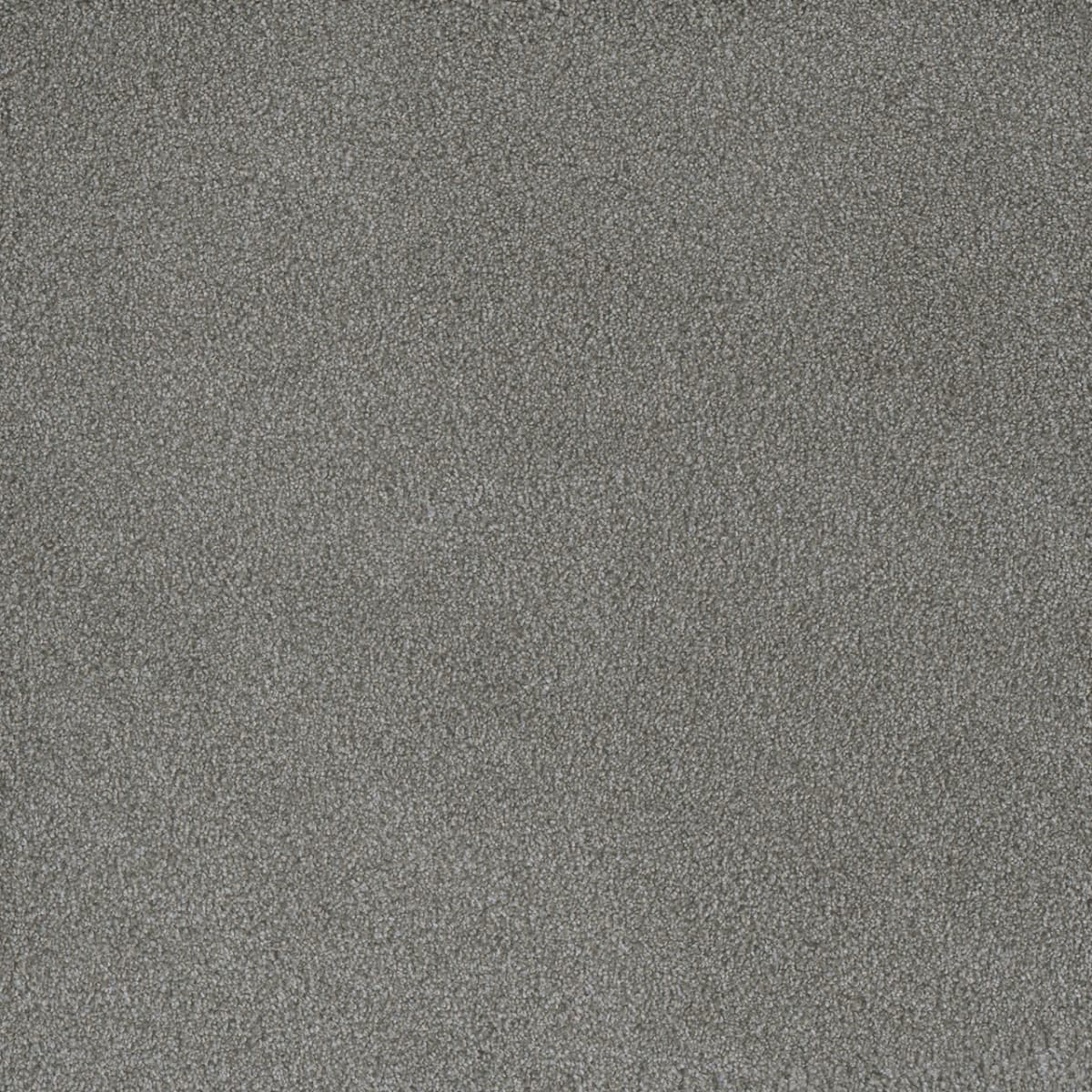 DreamWeaver® Palmetto III Textured Carpet