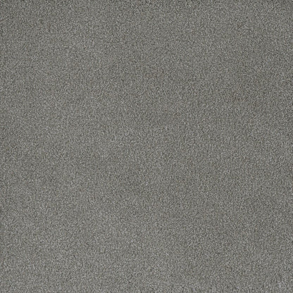 DreamWeaver® Palmetto III Textured Carpet