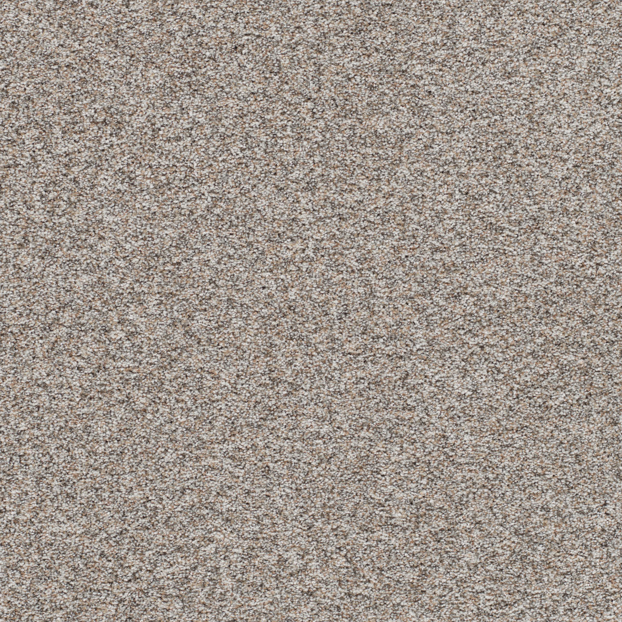 DreamWeaver® Prismatic III Textured Carpet