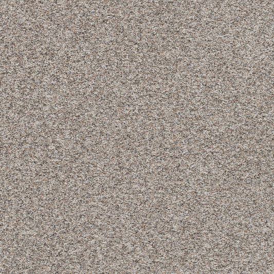 DreamWeaver® Prismatic III Textured Carpet