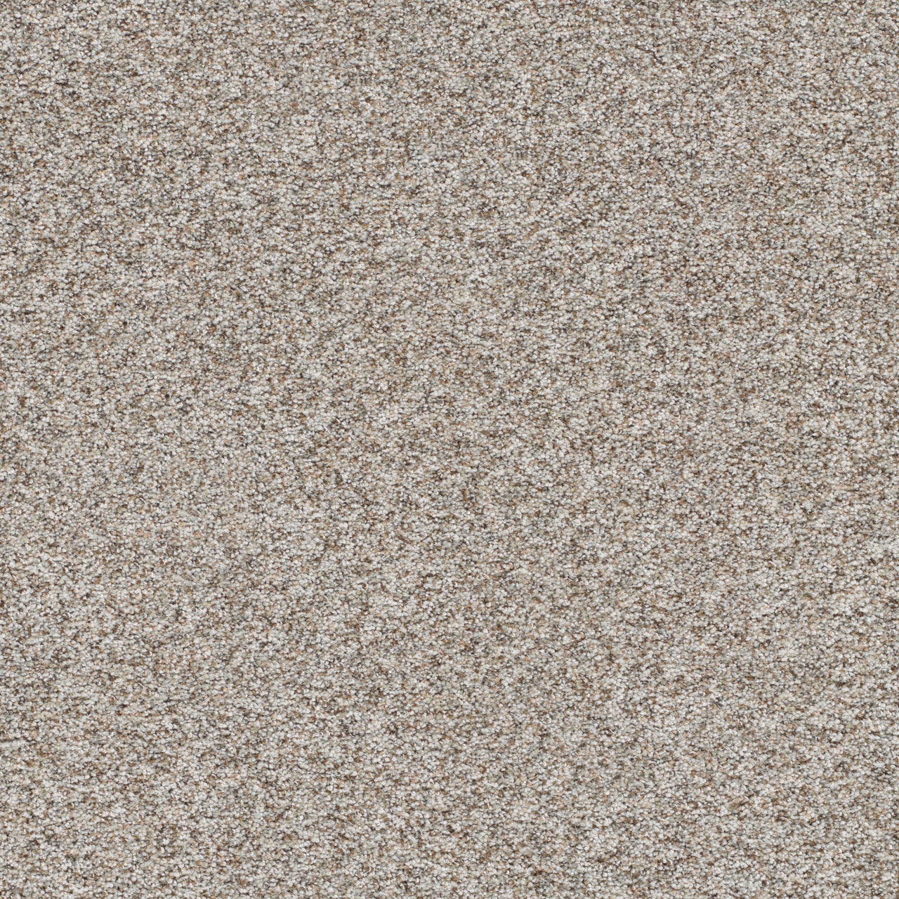 DreamWeaver® Prismatic III Textured Carpet