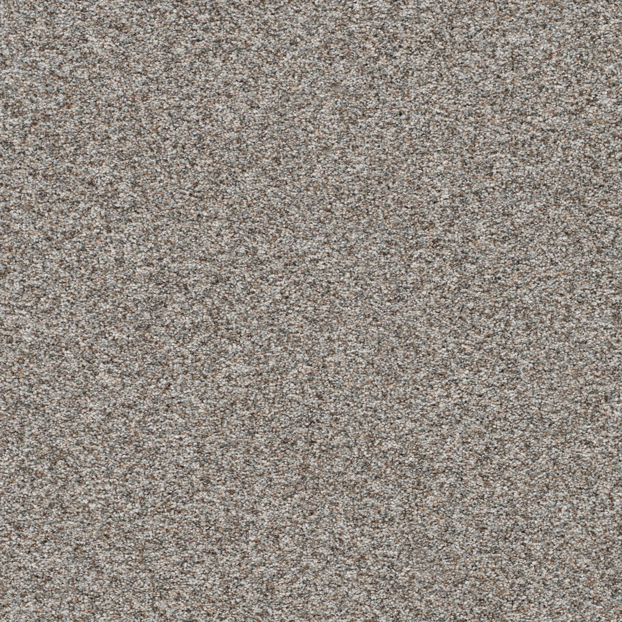 DreamWeaver® Prismatic III Textured Carpet