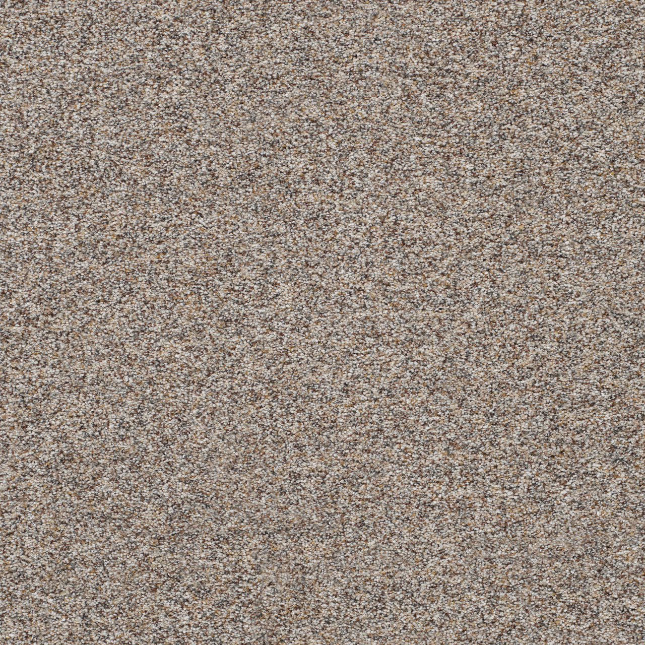 DreamWeaver® Prismatic III Textured Carpet