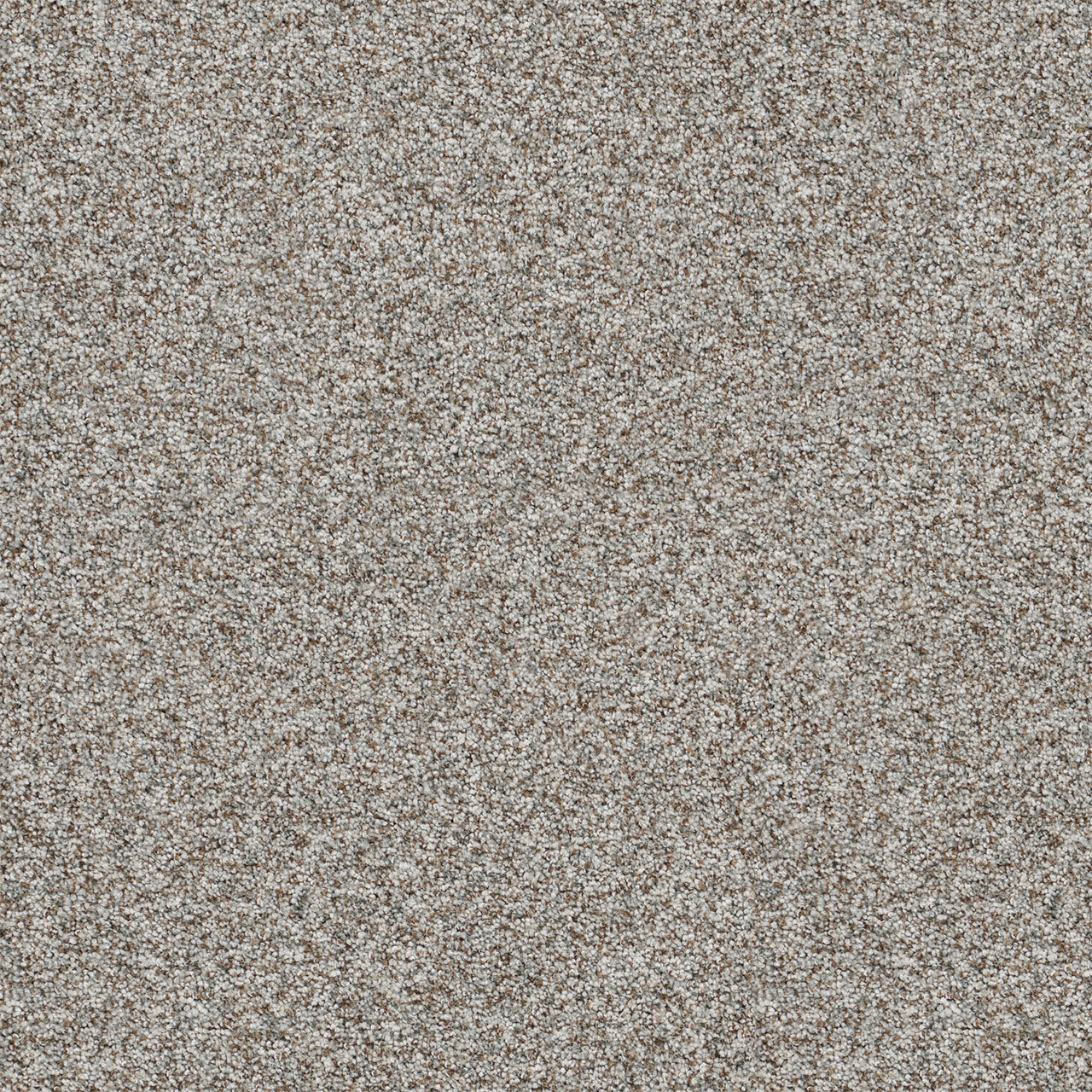 DreamWeaver® Prismatic III Textured Carpet