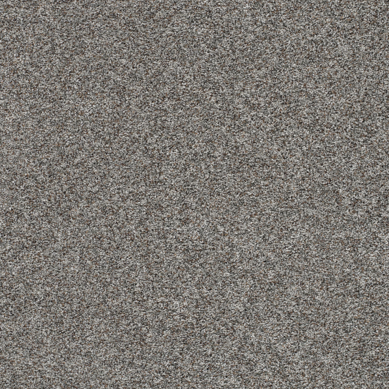 DreamWeaver® Prismatic III Textured Carpet