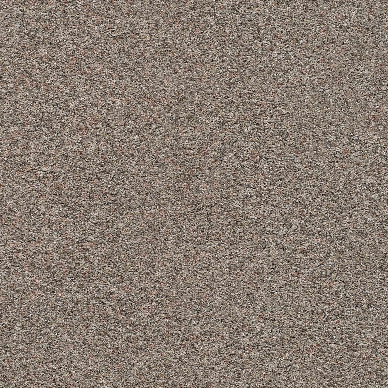 DreamWeaver® Prismatic III Textured Carpet
