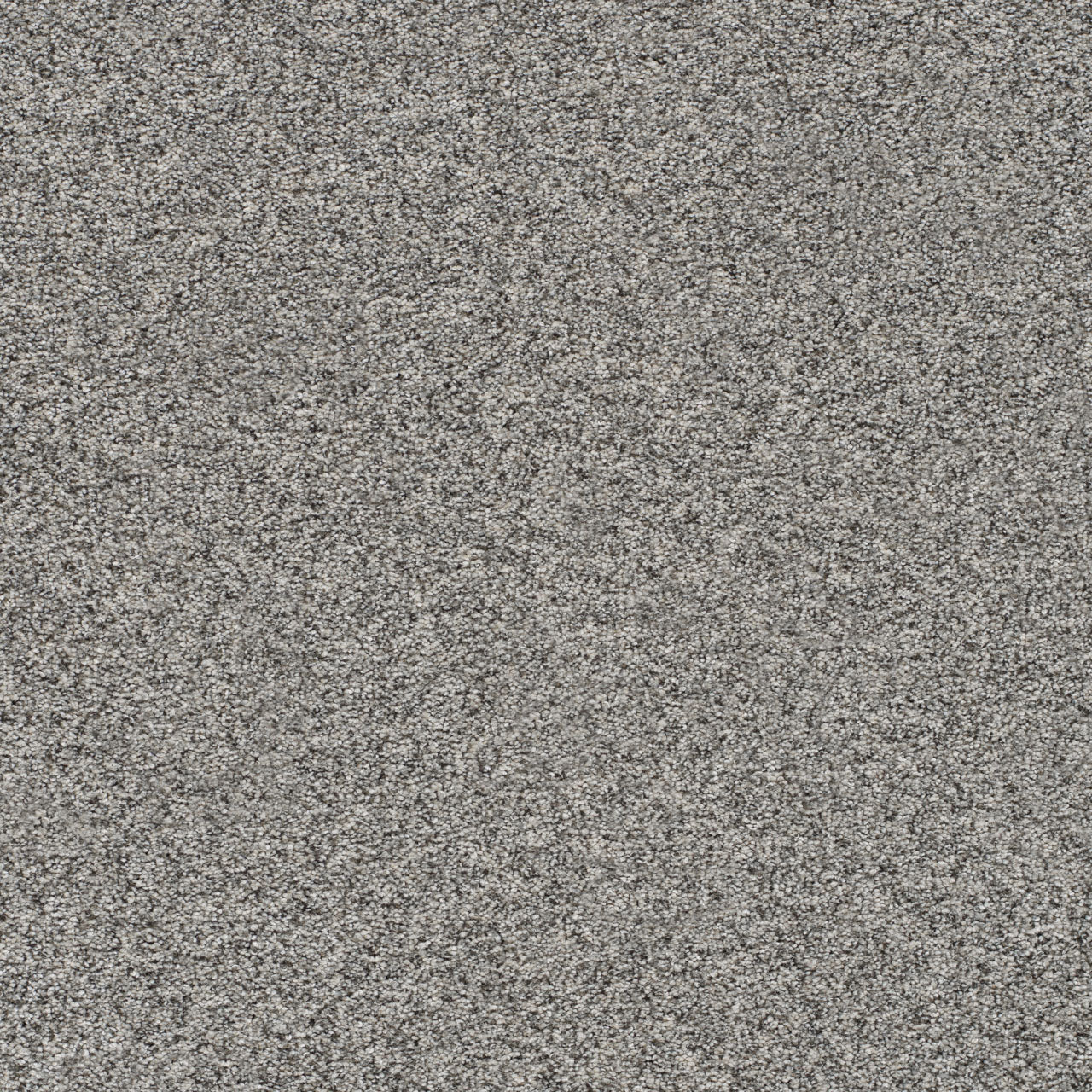 DreamWeaver® Prismatic III Textured Carpet