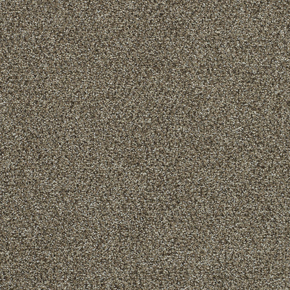 PS200 Carpet
