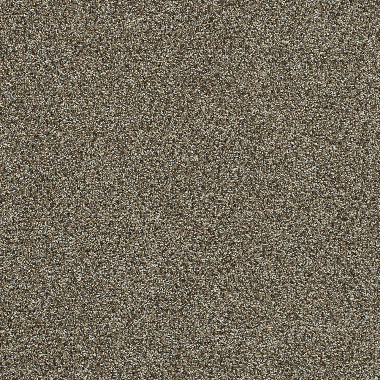 PS200 Carpet