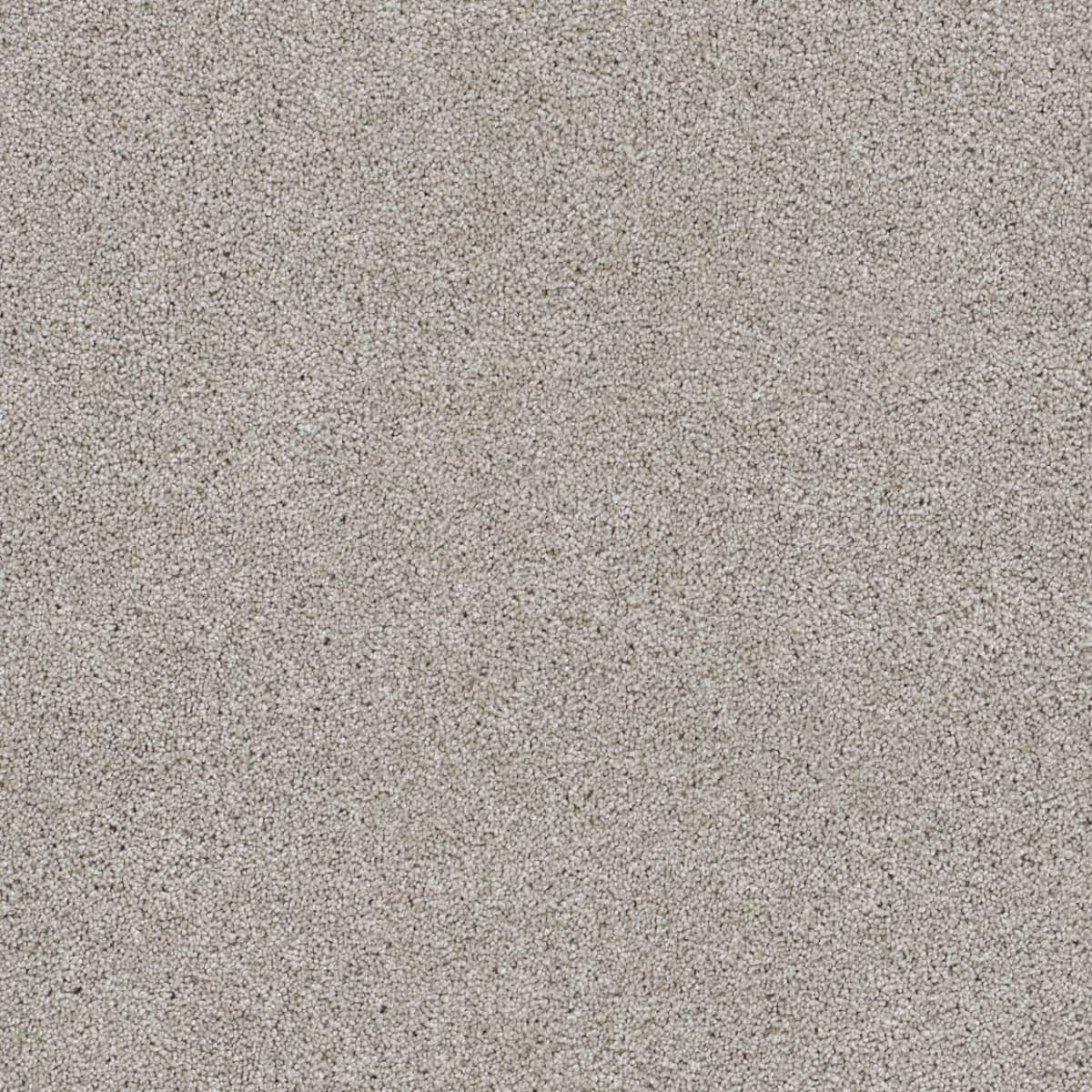 DreamWeaver® Reflections II Textured Cut Pile Carpet