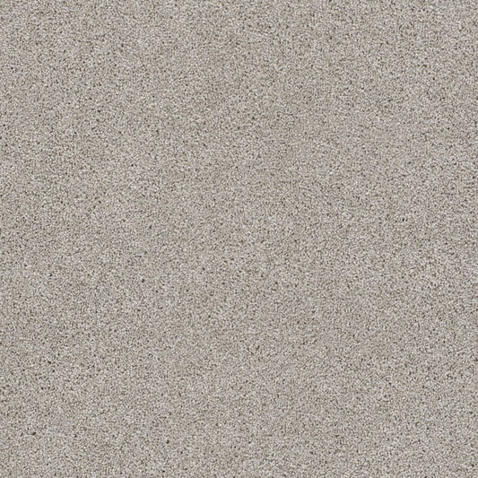 DreamWeaver® Reflections III Textured Cut Pile Carpet