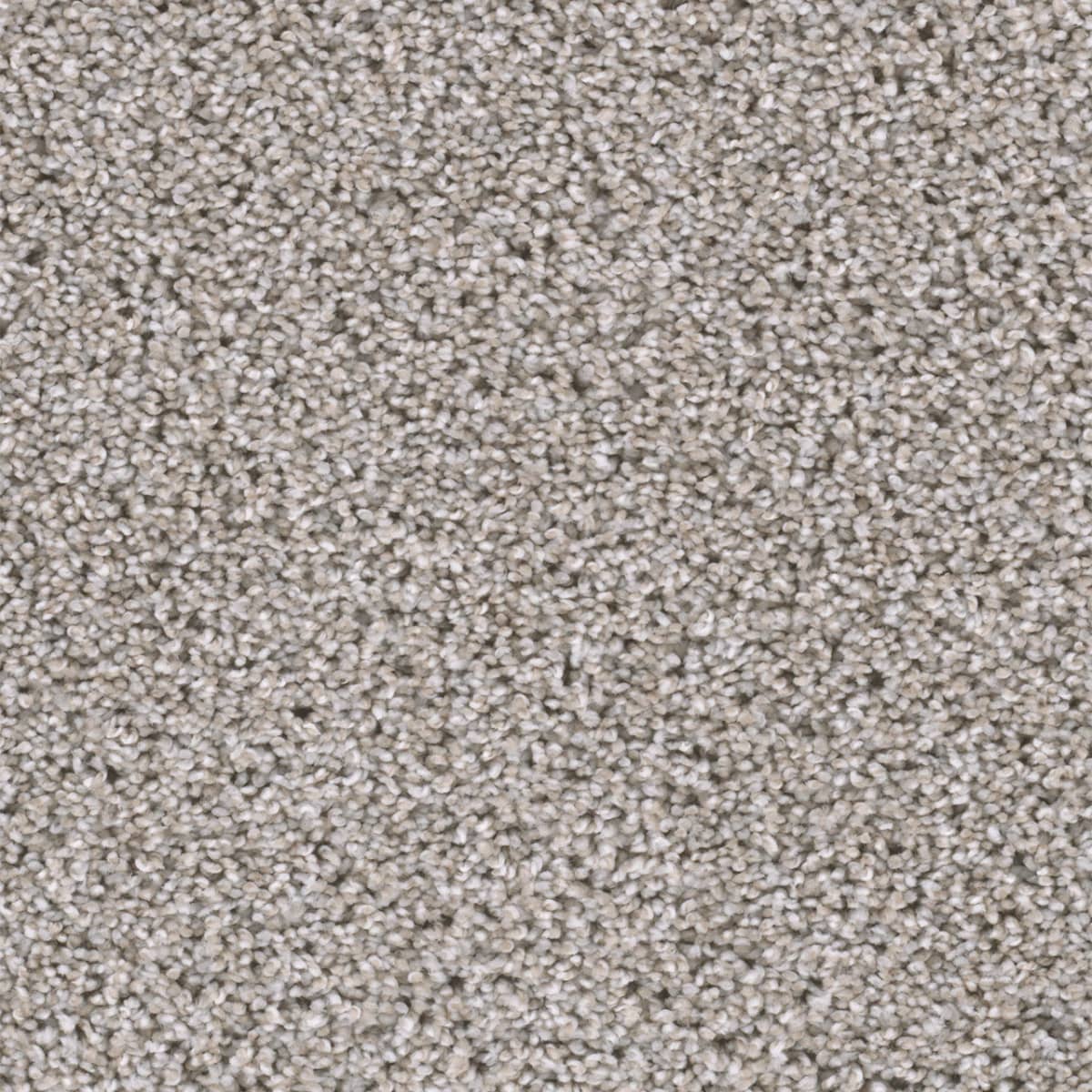 DreamWeaver® Reflections II Textured Cut Pile Carpet