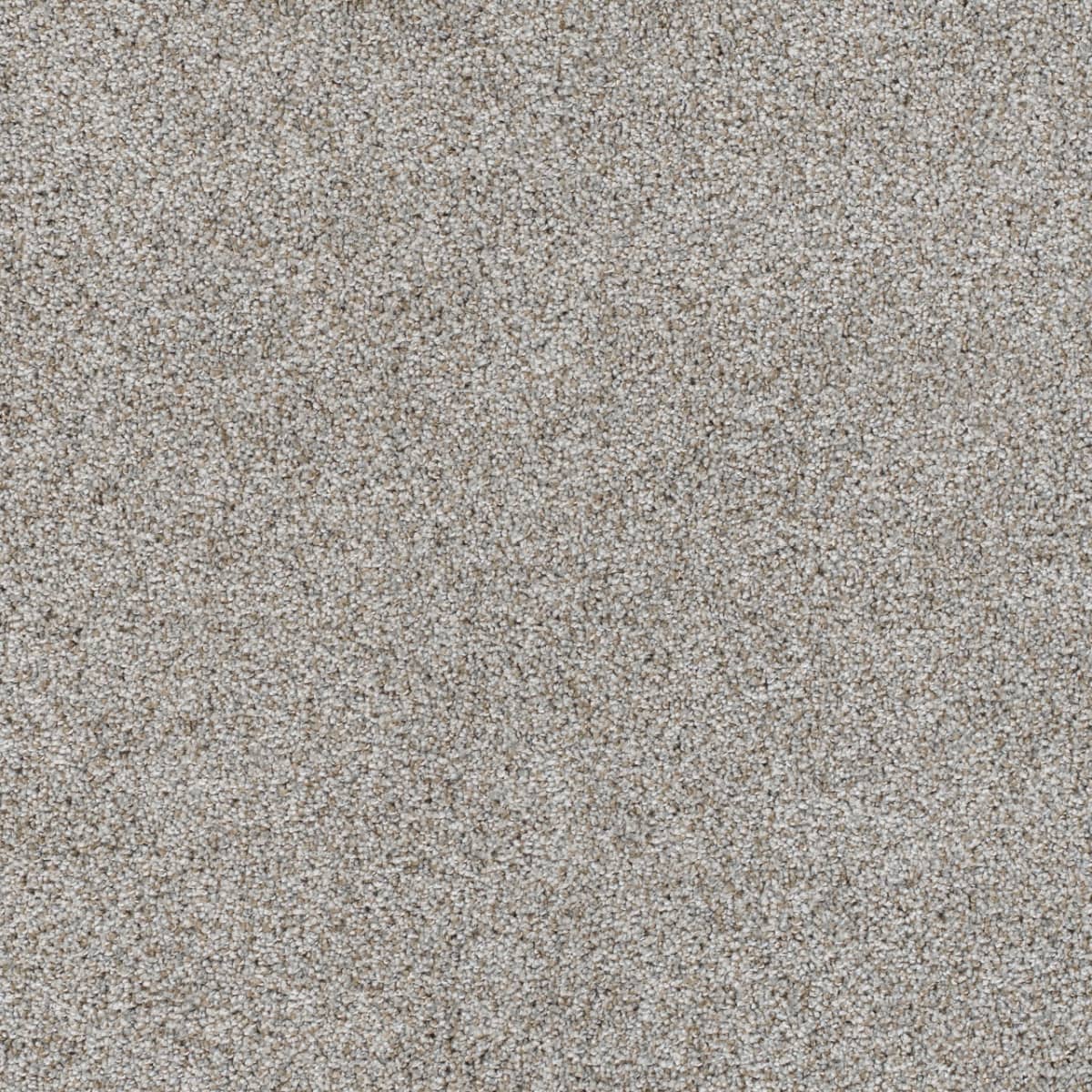 DreamWeaver® Reflections II Textured Cut Pile Carpet