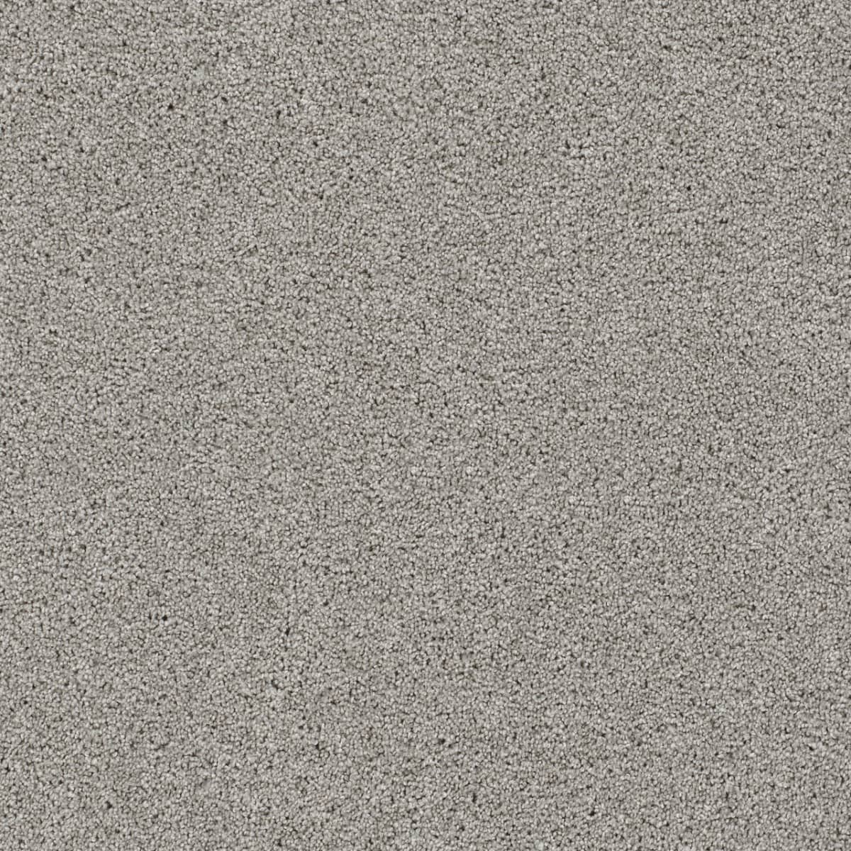 DreamWeaver® Reflections II Textured Cut Pile Carpet