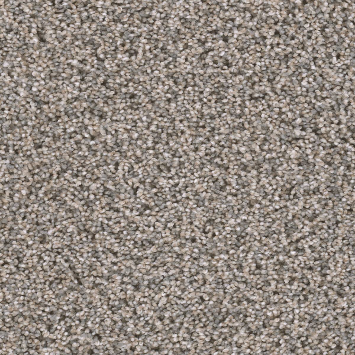 DreamWeaver® Reflections II Textured Cut Pile Carpet