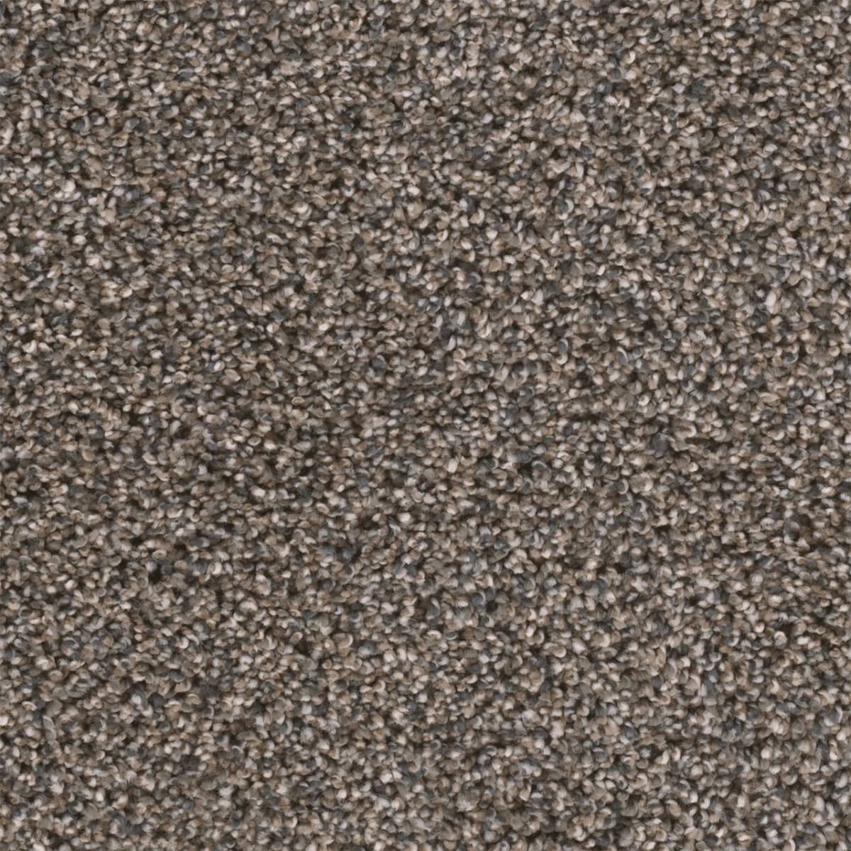 DreamWeaver® Reflections II Textured Cut Pile Carpet