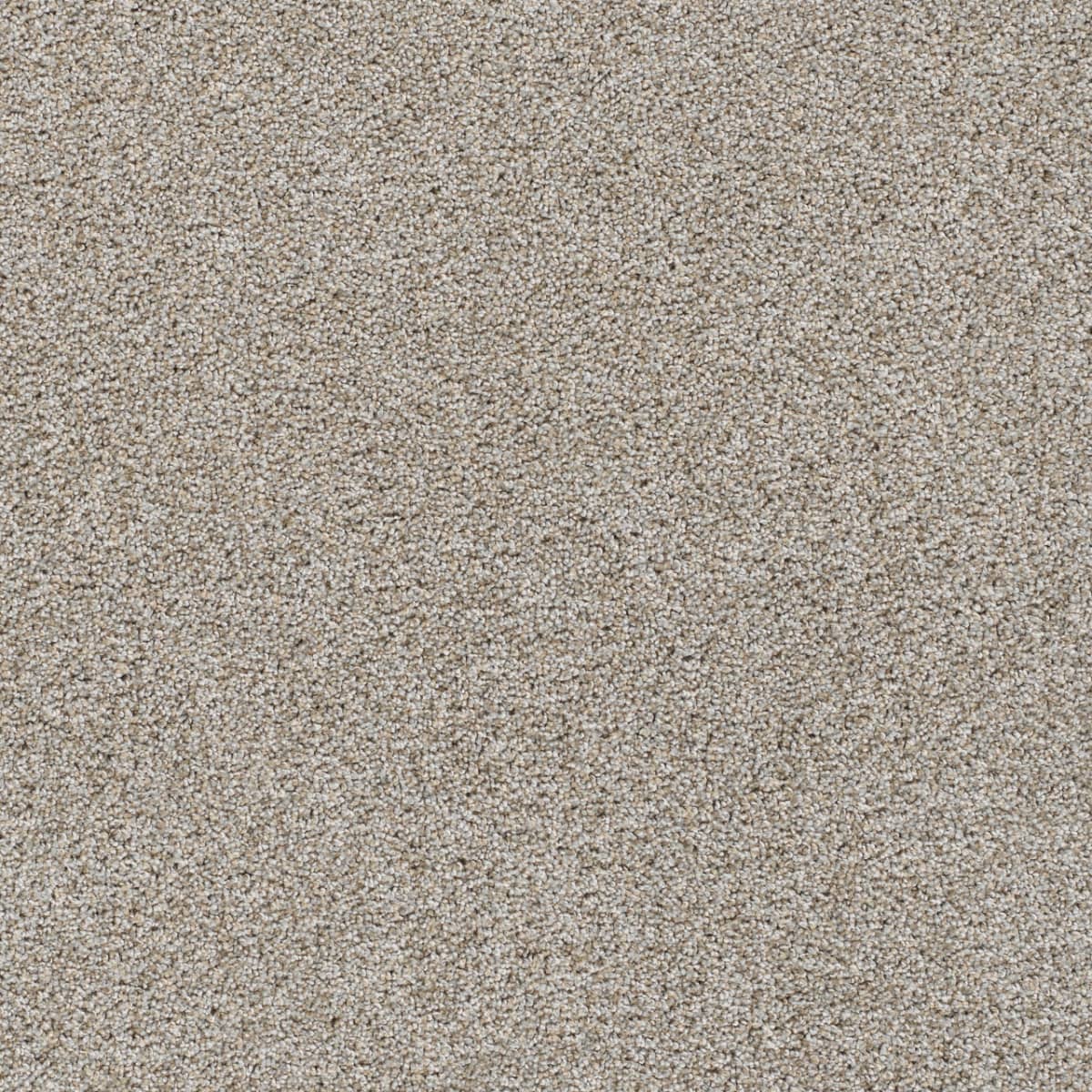DreamWeaver® Reflections II Textured Cut Pile Carpet