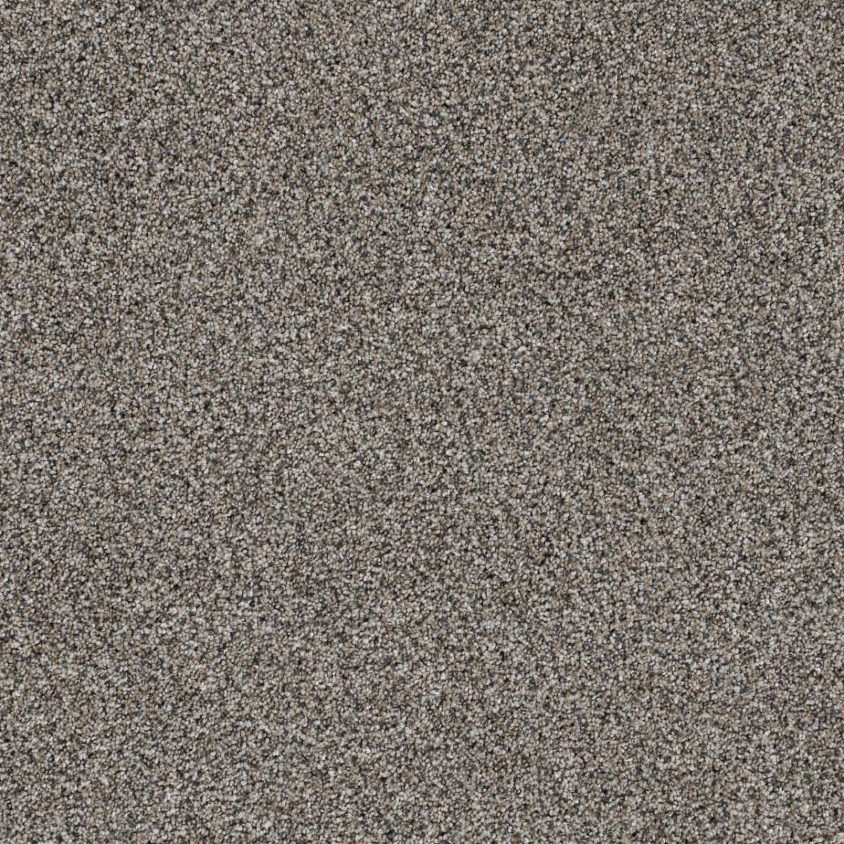 DreamWeaver® Reflections II Textured Cut Pile Carpet