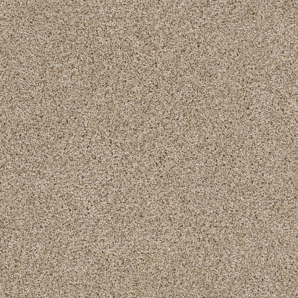DreamWeaver® Reflections II Textured Cut Pile Carpet