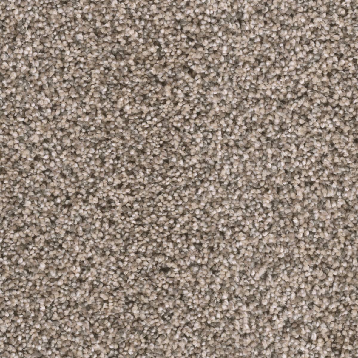 DreamWeaver® Reflections II Textured Cut Pile Carpet