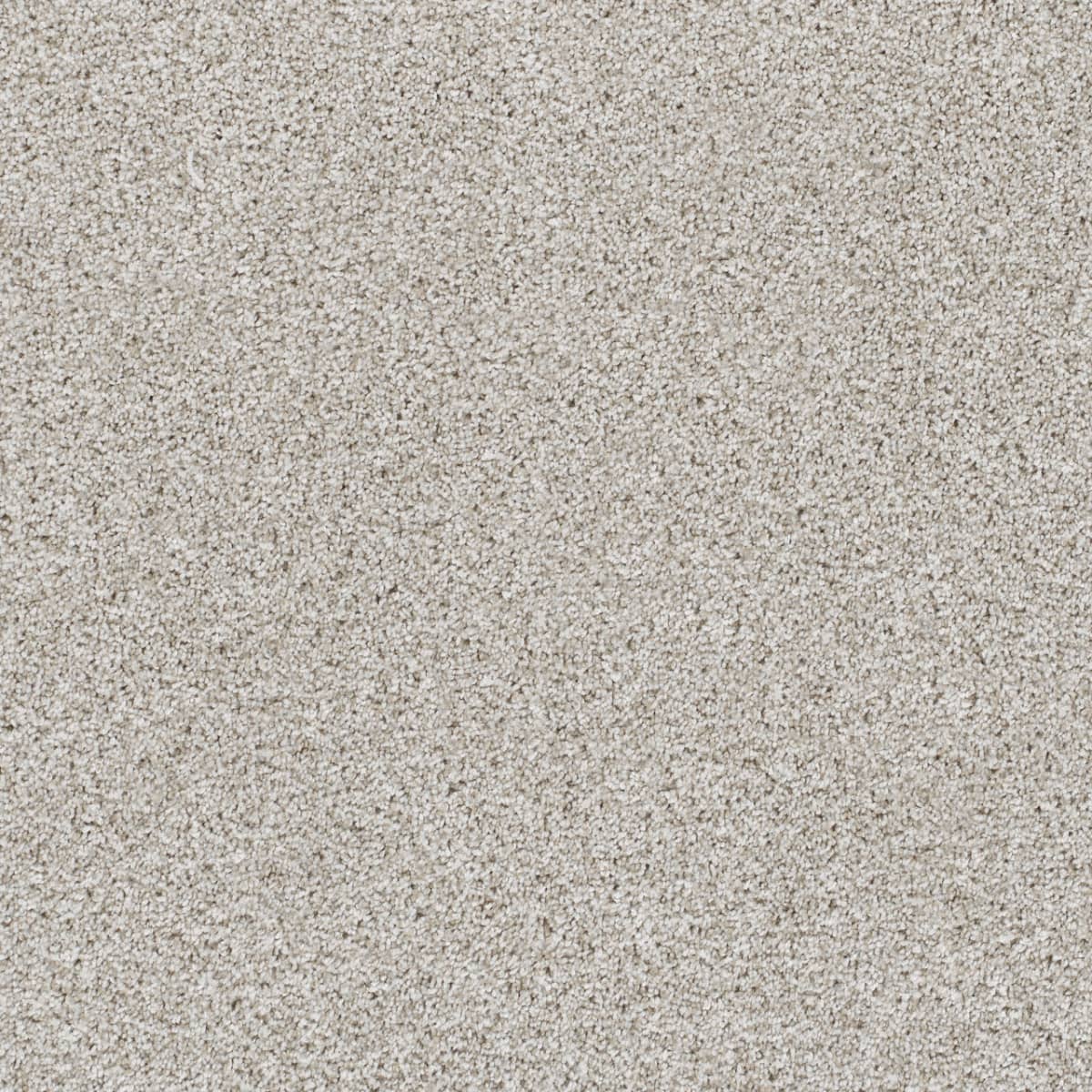 DreamWeaver® Reflections II Textured Cut Pile Carpet